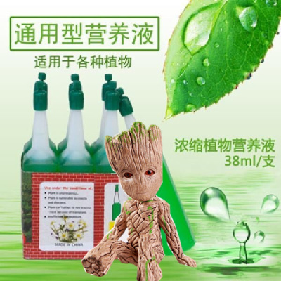 古达网红巴西木水养绿植室内盆栽花卉幸运木格鲁特办公室桌面水培植物格鲁特+营养液含盆