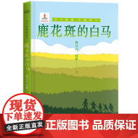 乌兰牧骑的孩子:鹿花斑的白马
