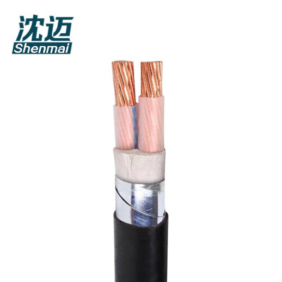 沈迈 铜芯铠装电缆 ZC-YJV22-2*35mm² /米