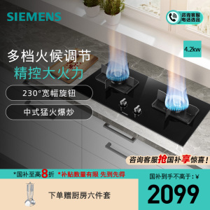 西门子 ER8MF233MP 4.2kw 燃气灶 嵌入式天然气灶具 台式双灶 玻璃面板 一级能效