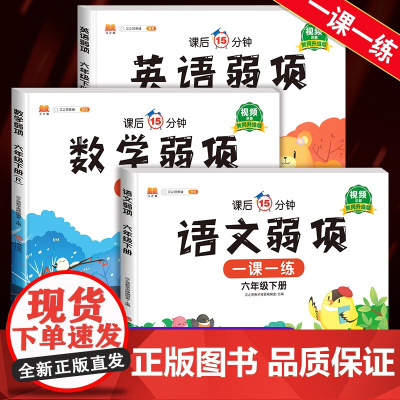 2025新版 弱项六年级下册一课一练语文数学英语试卷测试卷全套语数英小学6年级下册同步练习册强化训练课堂笔记举一反三随堂