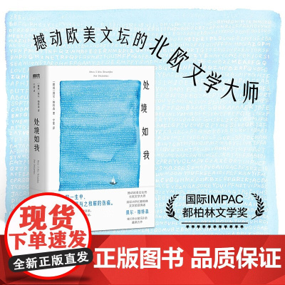 处境如我 佩尔·帕特森 著 小说