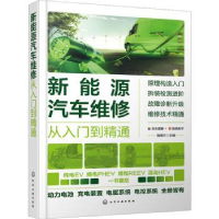 音像新能源汽车维修从入门到精通瑞佩尔主编