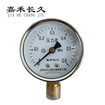 嘉禾长久 压力表检测型 Y60 块