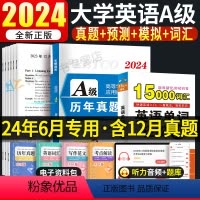 [正版]2024年6月大学英语a级真题考试真题试卷英语三级考试历年真题A级词汇高等学校大学英语ab级3三级a英语复习资
