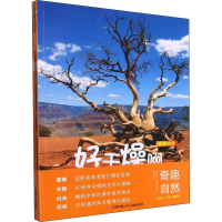 音像奇趣自然(全4册)(澳)丽兹·弗莱厄蒂