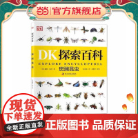 DK探索百科 斑斓昆虫