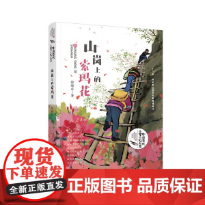 山岗上的索玛花中国儿童文学童话故事图书6-9-12岁小学三四五六年级小学生必读课外书籍成长励志青少年儿童书儿童读物校园小