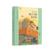 正版新书]殷健灵儿童文学精装典藏文集--轮子上的麦小麦殷健灵97