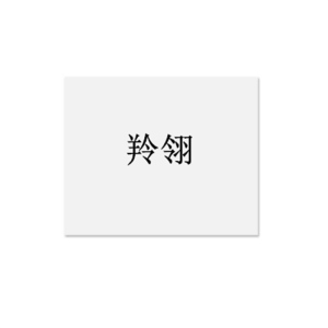 羚翎 300×240mm 标签(计价单位:个)白色