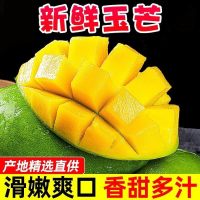 [熊猫鸟]正宗越南玉芒 净重9斤 单果300g+ 青皮特级大芒果金煌芒爆甜新鲜应季水果
