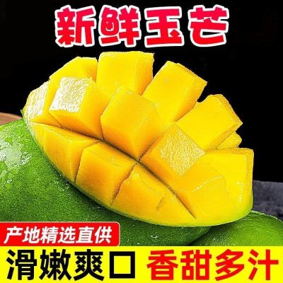 [熊猫鸟]正宗越南玉芒 净重9斤 单果300g+ 青皮特级大芒果金煌芒爆甜新鲜应季水果