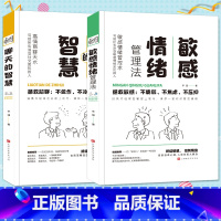 [正版]敏感情绪管理法+聊天的智慧 终结敏感,控制情绪,告别自卑心理 告别笨嘴拙舌人际关系大翻身释放压力的方法 敢于表