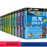 儿童百科全书[全套10册] [正版]精装彩图全10册 百科全书 恐龙百科全书注音版 小学生 动物世界昆虫地理少年儿童大百