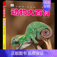 [任选3本39元]动物百科 [正版]飞机百科全书注音版图书儿童书籍科普航空大百科交通工具小百科绘本读物全套科学认知少儿3
