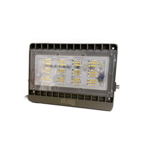 盛王盛荣 固定式LED投光灯