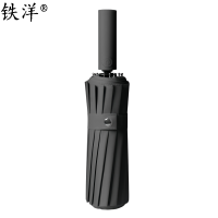 铁洋 16骨双龙骨自动伞 TY-YS010 把