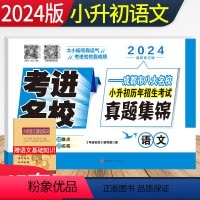 [正版]2024考进名校 小升初真题卷语文成都市八大名校小升初历年招生考试真题锦集 四川重点中学小考总复习小升初真题全
