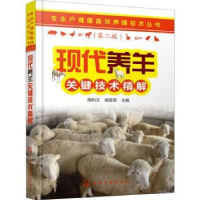 音像现代养羊关键技术精解陶利文,杨菲菲主编
