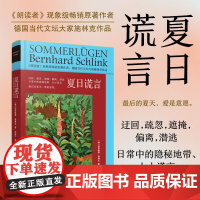 夏日谎言 精装新版伯恩哈德施林克上海译文出版社 德国文学短篇小说集书另著朗读者