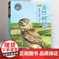 自然探秘记. 草原小鸟是“公马”2023广东省暑假读一本好书小学生三四五六年级课外书籍科普百科