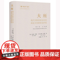 正版 大所 现代律师事务所的商业关切和职业价值 [美]米特·里根 [美]丽莎·罗勒 著 王进喜 李华 译 法律出版社