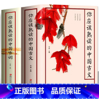 [正版]全2册 你应该熟读的中国古文+古词 一天一篇小古文名篇一看就懂小学生课外读本 人间词话王国维青少年中国诗词大