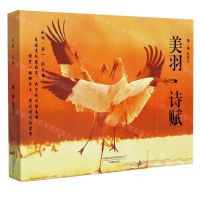 [N]美羽诗赋-9787517909606