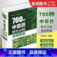 700种中草药 [正版]700种中草药野外识别速查图鉴 岳桂华 化学工业出版社 中草药大全药剂学中医草药书籍识别图全集