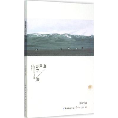 正版新书]东天山之麓王京安9787535482808