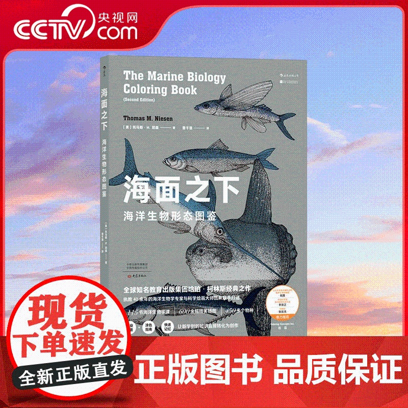[央视网]海面之下 海洋生物形态图鉴 动觉科普书巨头Coloring Concepts Inc 经典之作 科学普及读物