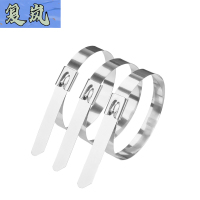 复岚 不锈钢扎带 4.6*450mm/包