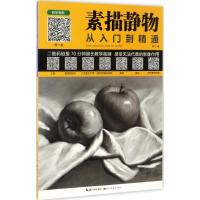 正版新书]素描静物从入门到精通熊飞 著9787539490250