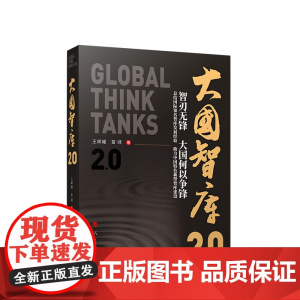 正版 大国智库2.0 王辉耀 苗绿著 人民出版社