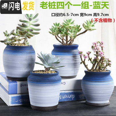 三维工匠老桩多肉花盆创意个性简约陶罐粗陶透气陶瓷小号肉肉花盆 老桩四个一组-蓝天 中等花盆容器