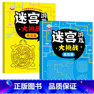 2册[高级篇+挑战篇]迷宫游戏 [正版]抖音同款儿童迷宫专注力训练益智类玩具走迷宫思维游戏训练书3--8岁智力开发动脑智