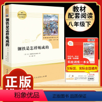 [人教版]钢铁是怎样炼成的 [正版]飞向太空港 李鸣生原著完整版中译八年级上8年级初二上册初中生全新语文名著寒暑假学校课