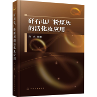 醉染图书矸石电厂粉煤灰的活化及应用9787125407