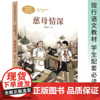 慈母情深 梁晓声著 课文作家作品系列人民教育出版社人教版人教社经典力作 配合语文教材 再现辉煌让作家带你爱上阅读