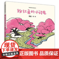 正版童书粉红色的小闪电中国原创绘本精品系列浙江少年儿童出版社 儿童读物