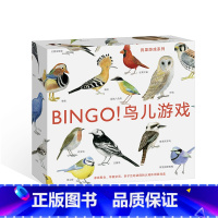[正版] 宾果系列 BINGO鸟儿游戏 3至6岁儿童读物教辅益智启蒙 互动智力开发 探索与发现书籍