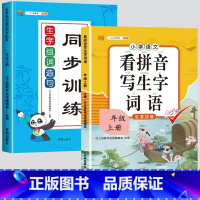 [2本]看拼音写词语+生字组词 二年级下 [正版]看拼音写词语一年级二年级三四五六年级上册语文人教版小学生注音生字拼音拼