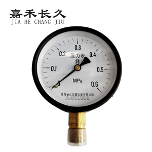嘉禾长久/压力表/Y100 1.6级/个