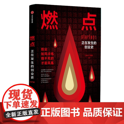 燃点(正在发生的创业史)