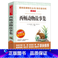 西顿动物故事集 [正版]全集绿山墙的安妮原版 四年级课外书阅读 五年级课外阅读书籍阅读经典书目小学生儿童书籍读物青少年无