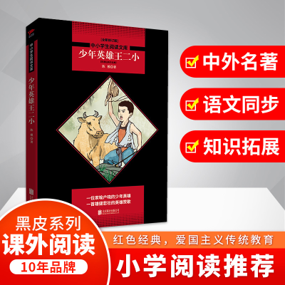 醉染图书少年英雄王二小97875596197