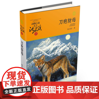正版 动物小说大王沈石溪·品藏书系 刀疤豺母 升级版 动物小说赋予动物以人的情感 人与动物是互相依赖的 正版书籍
