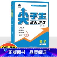 数学 九年级/初中三年级 [正版]奥数王尖子生课时培优2024新版拔尖培优训练数学拔高训练练习册初中九年级全国通用初三教