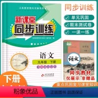 [正版]2024新课堂同步训练语文九年级下册课堂辅导人教版专项训练九年级