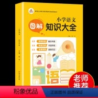 语文 [正版]小学语文知识大全人教版全国通用 小学生一二三四五六年级语文基础知识手册重点集锦词语小升初大集结复习学习资料